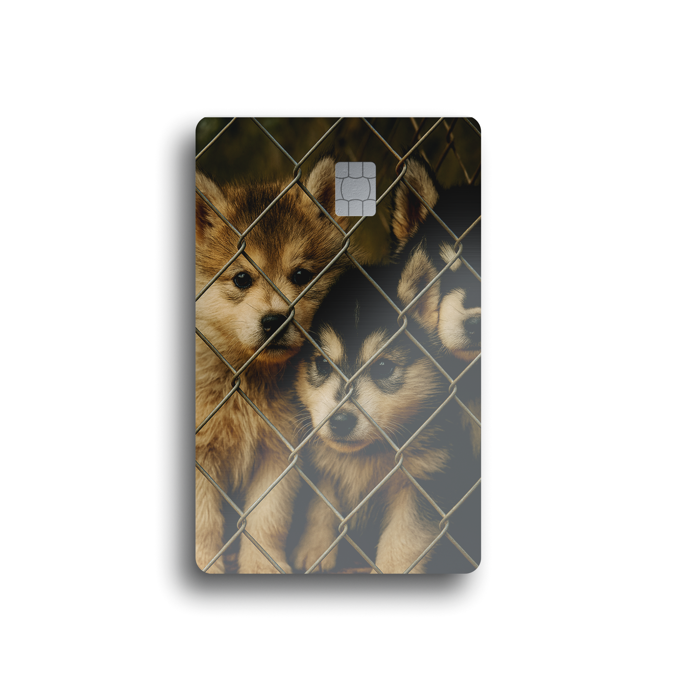 Puppy Eyes Card Skin